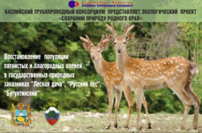 Победа в региональном экологическом проекте «Сохраним природу родного края».